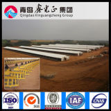 Steel Structure Poultry House (SSW-307)