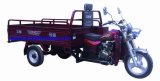 Three Wheel Motorcycle Cargo Tricycle (QM200ZH-5)