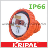 3pin 13A IP66 Weather Proof Plug