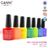 30917h, Canni Product! ! ! High Quality and Hot Sale Nail Polish Lacquer