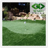 PE Curly Artificial Grass for Golf