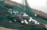 Nylon Completed Net with Floats and Sinkers