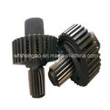 OEM Higher Quality Non Standard Forging Spur Gears