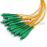 Multicore Sc/APC Optical Fiber Patch Cable