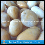 Natural Polished White/Yellow Pebble Stone for Garden Decoration Size In10~30mm, 30~50mm, 50~80mm