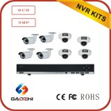 1080P CCTV System Supplier 8CH Poe Camera and NVR with Audio Sound