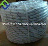 China Supplier PP/PE Monofilament Hollow Braid Ropes