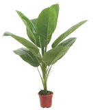 2014 Hot Sell Factory Price Artificial Potted Plant 155