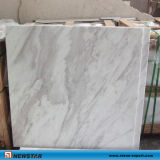 Newstar White Greece Marble