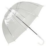 Transparent Straight Umbrella