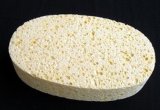 Round Sponge Pad for Personal Care