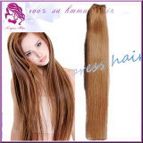 Beautiful Hair Extension 100% Brazilian Virgin Human Hair Silk Straight Hair