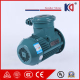 High Efficiency Three Phase AC Electric Induction Motor