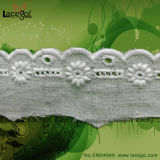 Border Lace Embroidery Lace Trim (EM04849)