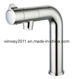 Basin Faucet 810045CP