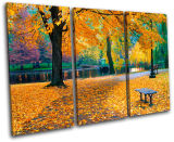 Yellow Leaves Landscape Picture Canvas Paintings