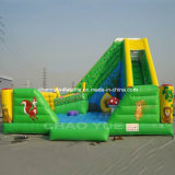 OEM Inflatable Playground/Inflatable Fun City for Kids (CY-508)