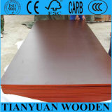 Building Materials Film Faced Plywood, Linyi Plywood Factory