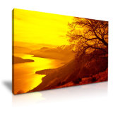 Golden Evening Twilight Canvas Printed Painting for Wall Decoration