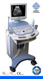 CE Approved Trolley Ultrasound Scanner/Medical Equipment (SP1100)
