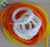 All Kinds of Colors PP 3-Strand Rope