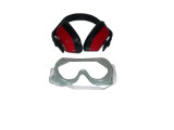 Plastic Chipping Goggles & Ear Muffs
