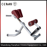Fitness Gym Equipment / Roman Chair
