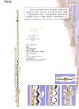 Professional Flute (JYFL-2000)