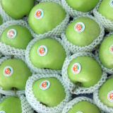 Export First Green Gala Apple (80/88/100/113/125)