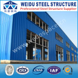 Various High Quality Frame Steel Structure (WD102127)