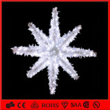 LED 2D Motif White Holiday Decoration Star Light