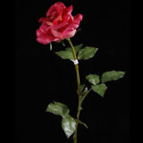PU Rose Flower (RO-030-32S)