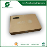 Brown Kraft Paper Mailing Box for Shipping Company