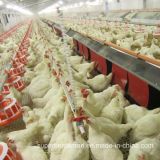 Automatic Poultry Equipment for Breeders