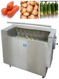 Vegetable & Fruit Brush Washing Machine (6LQX-3)