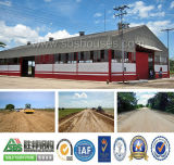 Agricultural Steel Structure Warehouses/Storage