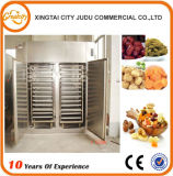 CT-C-I Fruit Drying Machine for Sale
