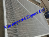 Welded Wire Mesh Fence/Fence Panel/Wire Mesh Fence/Fence Netting
