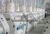 European Standard Fully Automatic Flour Mill