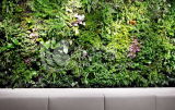High Quality Artificial Plants and Flowers of Green Wall Gu-Wall14425931409800