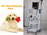 Veterinary Colono Videoscope Endoscopy Instrument