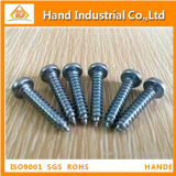Pan Head Self Tapping Fasteners Screw with Phillips Slot