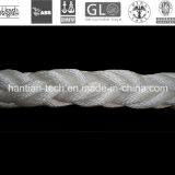 8 Strand Polyester & PP Ropes for General Vessel Mooring Approve by Lr, Nk, Dnv, ABS