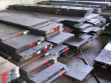 Special Steel Flat (1.2083/S136H)