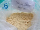 Trenbolone Acetate Anabolic Steroid Powder Trenbolone Acetate Body Building Finaplix