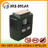 Solar Animal Repeller for Wild Pig, Bird, Pigeon, Fox, Mole, Snake, Rat