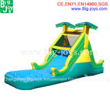 Best Quality Inflatable Water Slide (DJWS005)