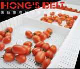 Modular Conveyor Belt for Fruit Industry with Cleats