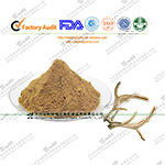 13 GMP Factory Deer Velvet Antler Extract Powder 10: 1 Improve Male Sex Roduct