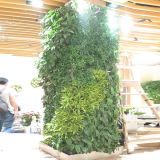 High Quality Artificial Plants and Flowers of Green Wall Gu-Wall0981252969